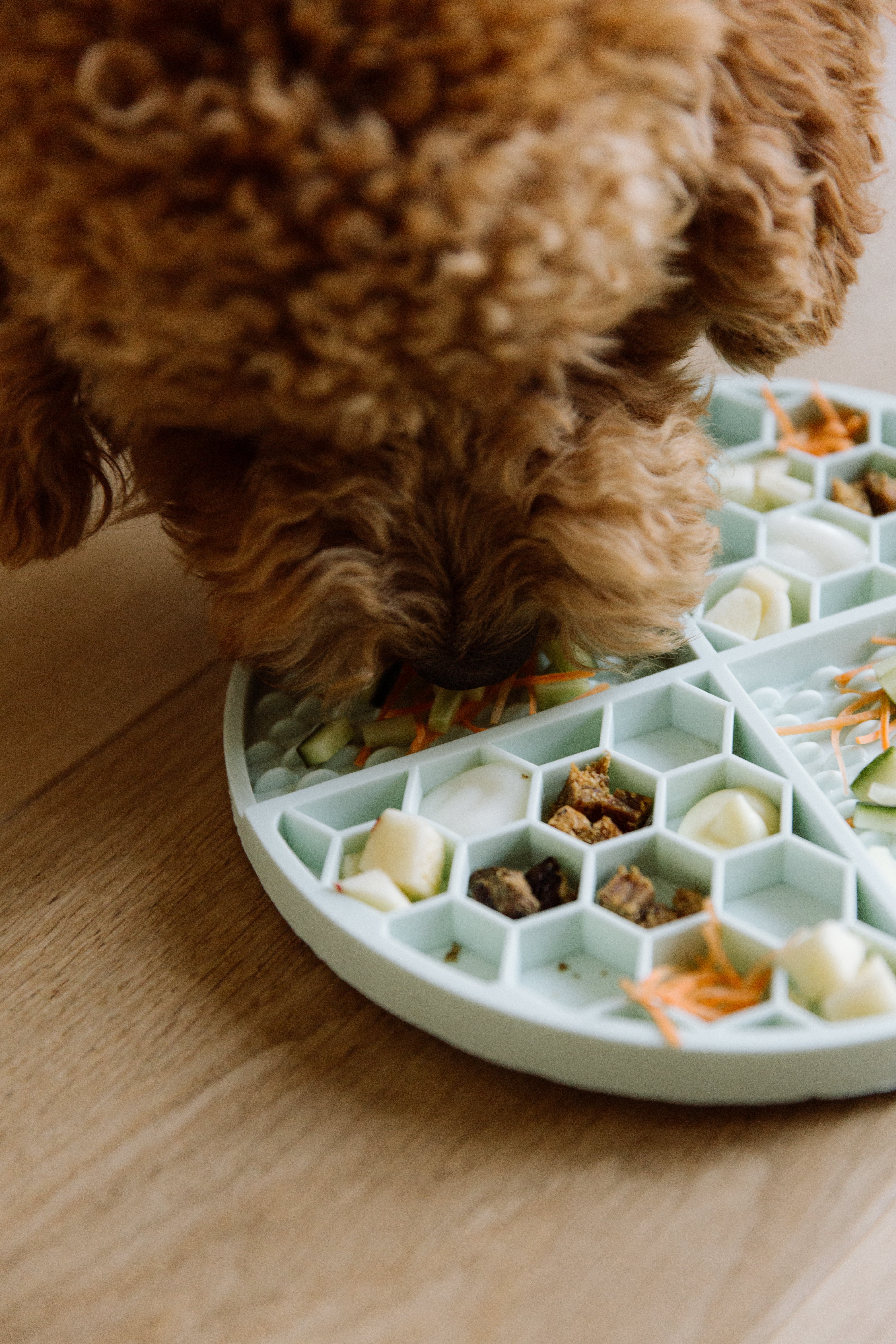 Lickmatten & Voerbakken