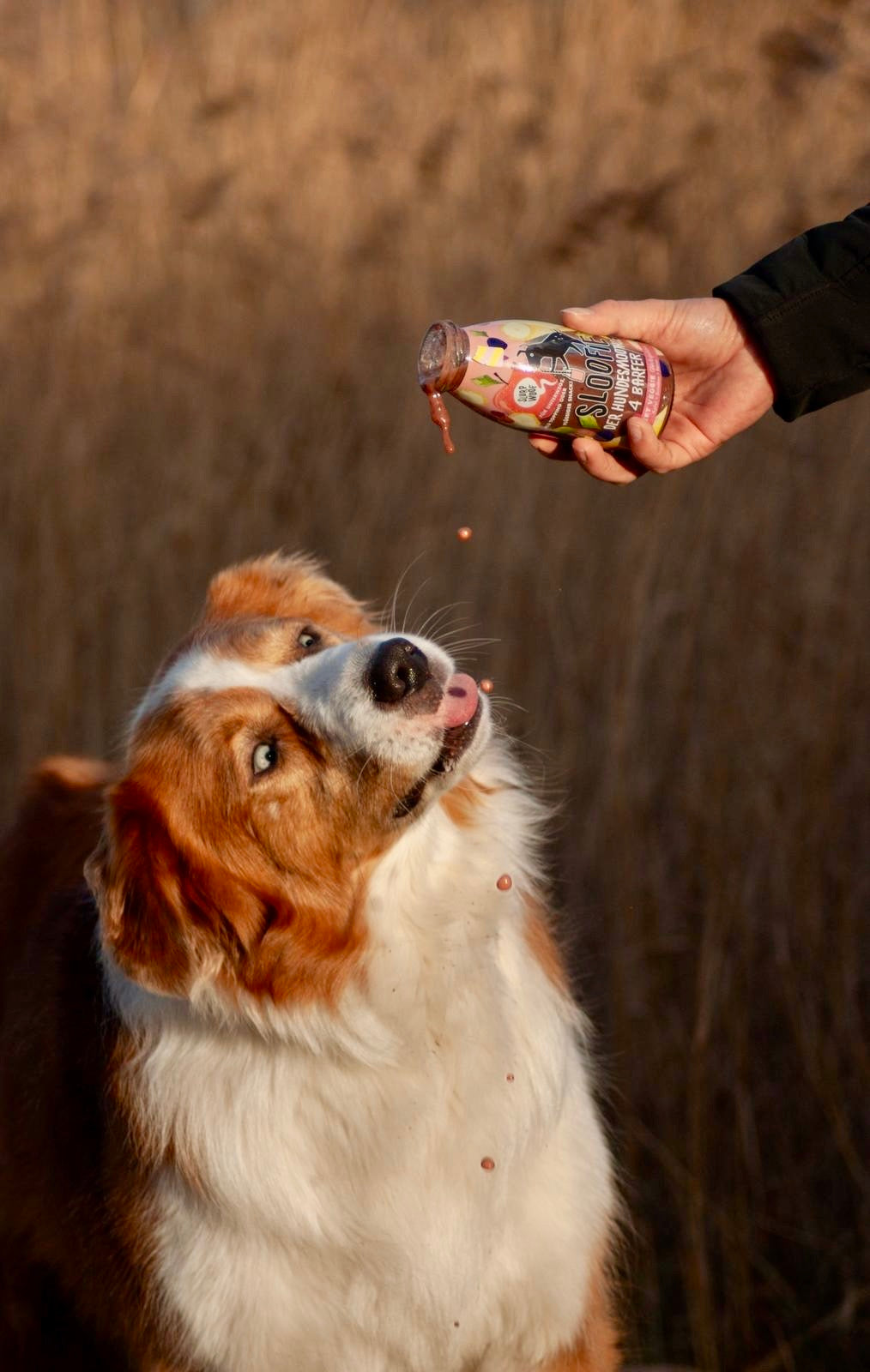 Aanvullend Diervoer & Supplementen