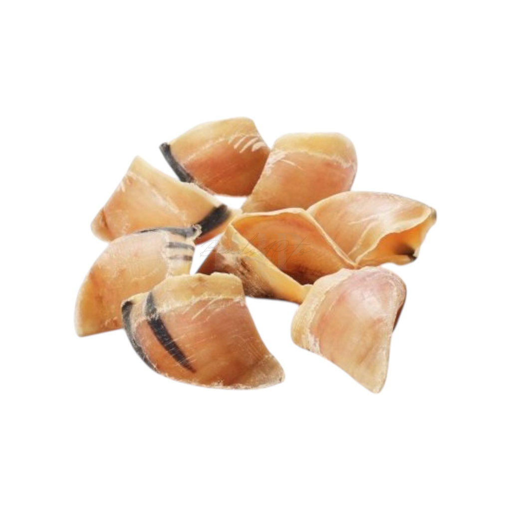 Beads4Pets | Hoefjes (leeg) - 5 stuks