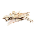 Beads4Pets | Konijnenoren met haar