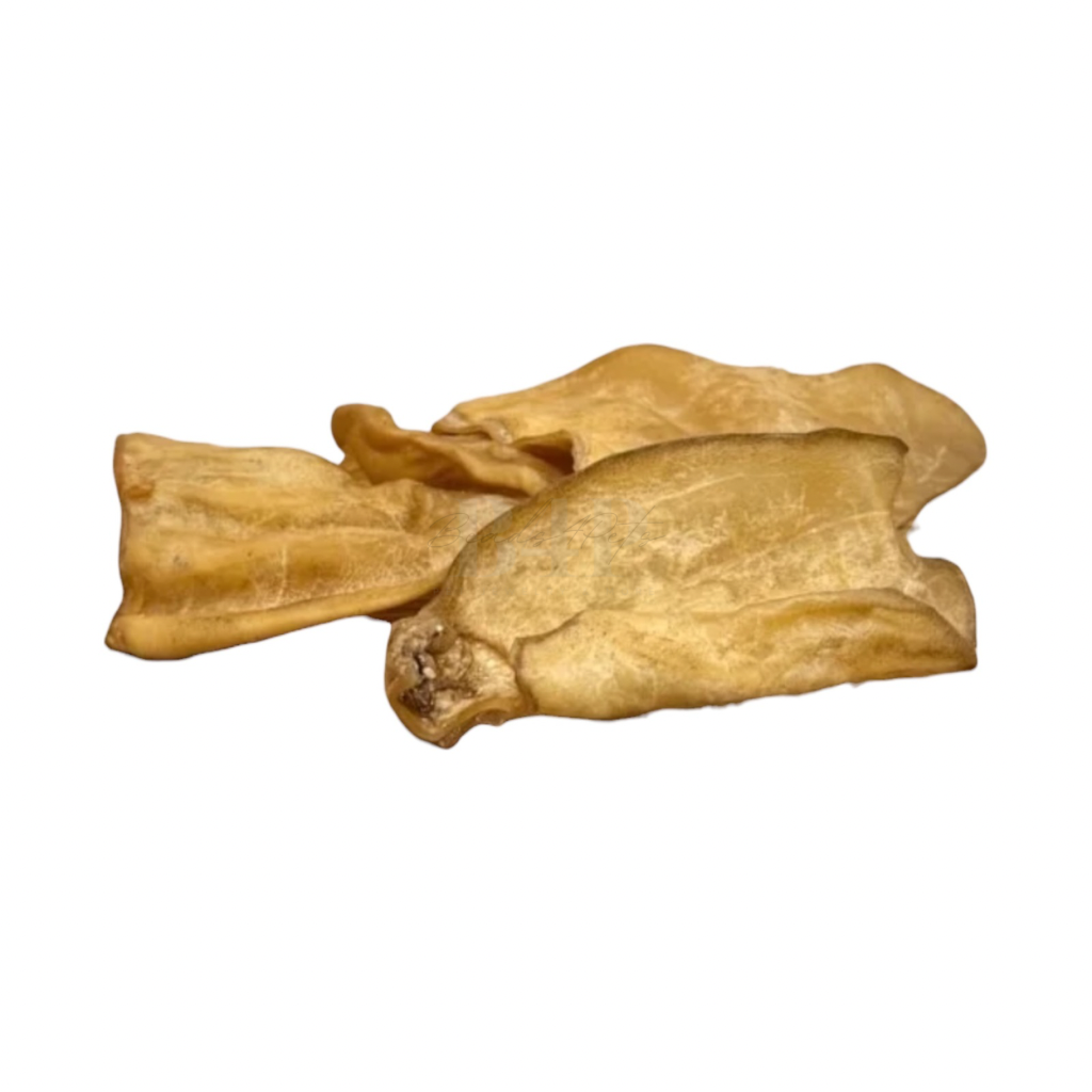 Beads4Pets | Runder oren - 3 stuks