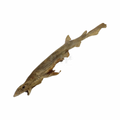 Beads4Pets | Zandhaai 50-60 cm (THT 11-06-26)