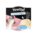 YowUp | Frozen Yoghurt Bacon Cake - 110 gram