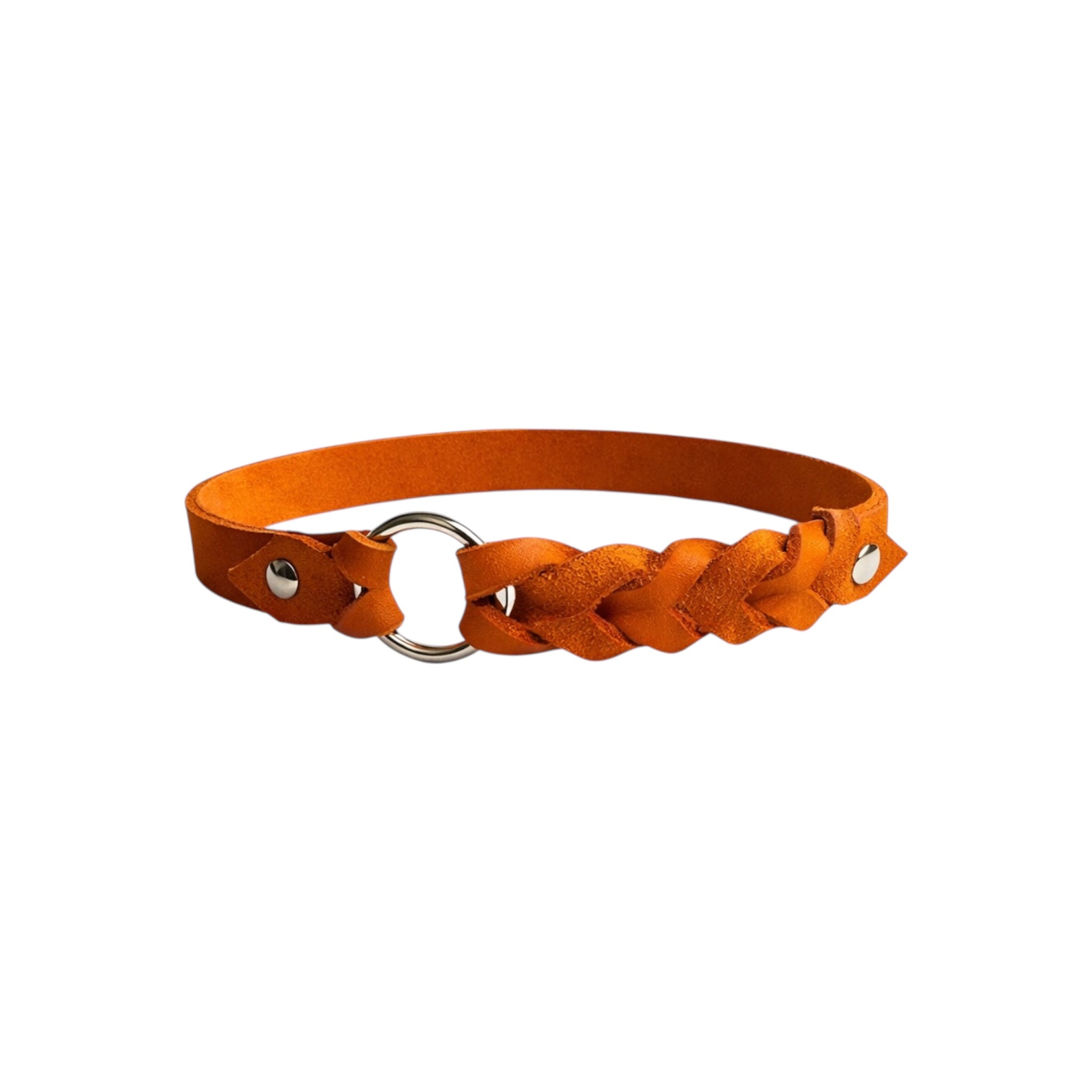 Beads4Pets | ID Collar