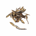 Beads4Pets | Gedroogde visjes - 100 gram