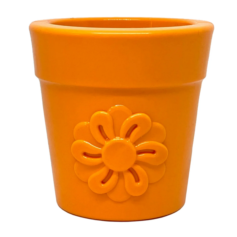 Sodapup | Flower pot large