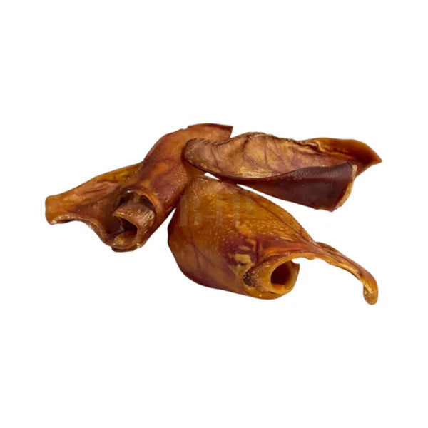 Beads4Pets | Varkensoren - 3 stuks